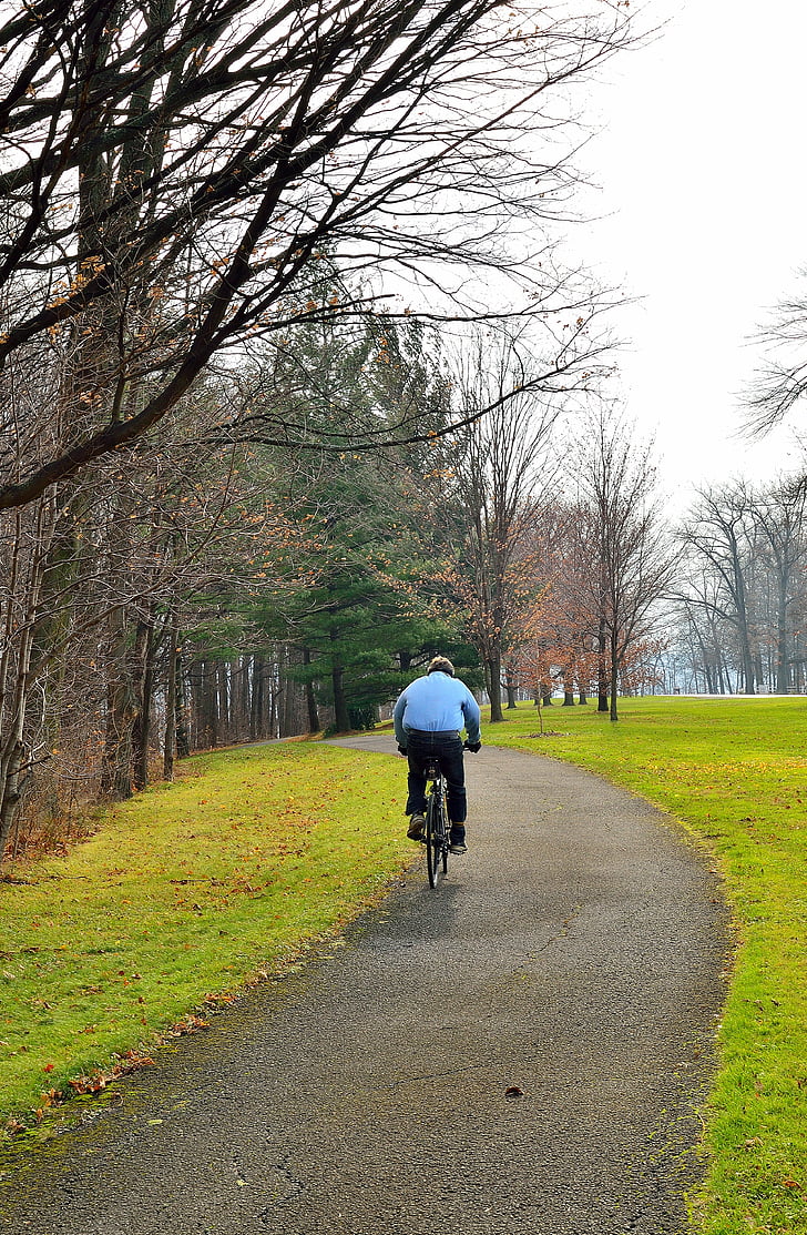 pathway, winter, landscape, path, track, bicycle, bike