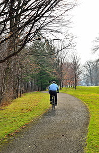 ceļš, ziemas, ainava, ceļš, izsekot, velosipēdu, velosipēds