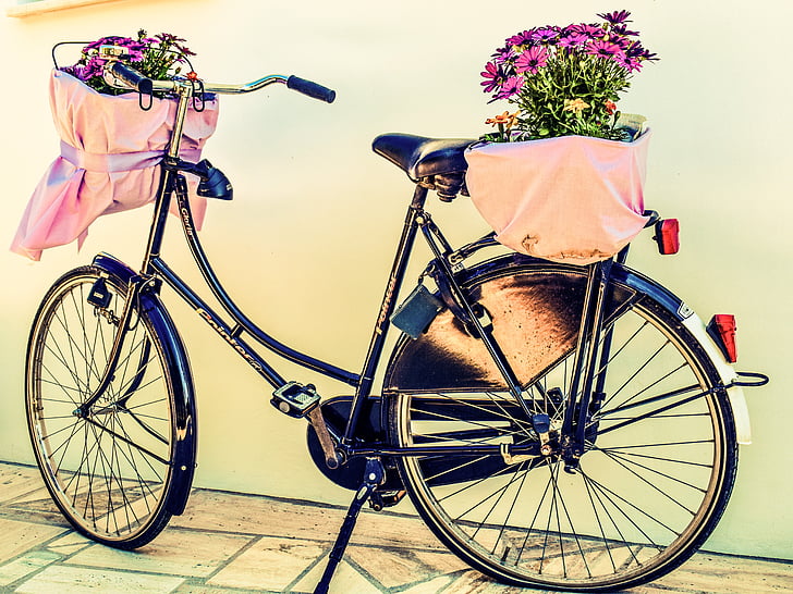 dviratis, gėlės, krepšys, dviratis, derlius, šviesą, pavasarį