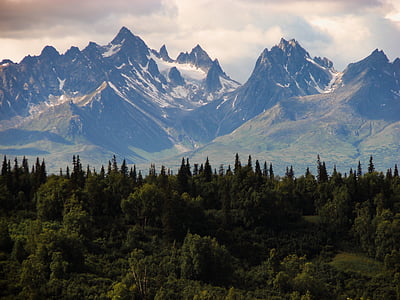 Skalno gorovje, Kanada, gore, narave, na prostem, gozd, Alaska