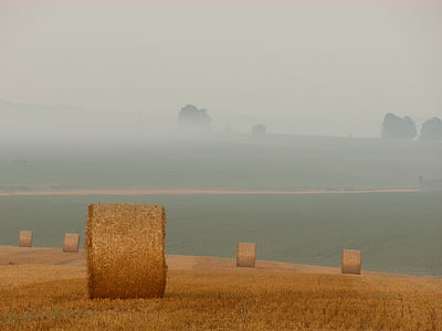 bales of straw, straw, hay, field, agriculture, farm, farming