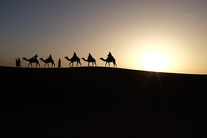kamieļi, saullēkts, ceļojumi, tuksnesis, smilts, saule, sausais