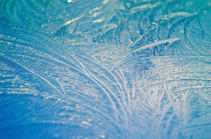 ochtend, Frost, ijs, seizoenen, macro, achtergrond, behang