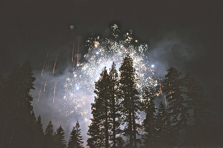 2016, fuochi d'artificio, foresta, Capodanno, Sylvester