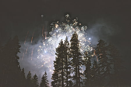 2016, vuurwerk, bos, Oudejaarsavond, Sylvester