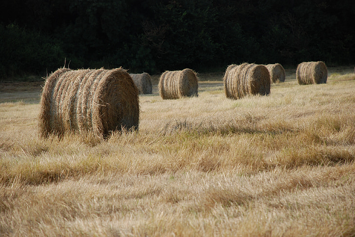 haystack, bale of straw, fields, hay, straw