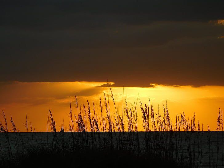 naplemente, nap, napfény, táj, este, Beach