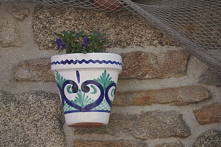 pote de flor, bote, flores, decoración, azul, pared, loza de barro