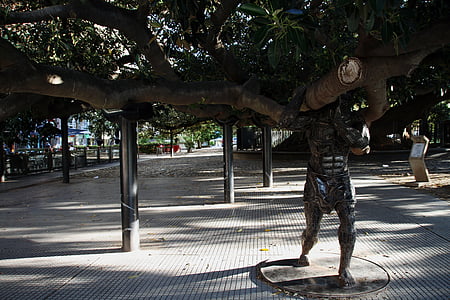 copac, gigant, Buenos aires, vechi, mare, portbagaj
