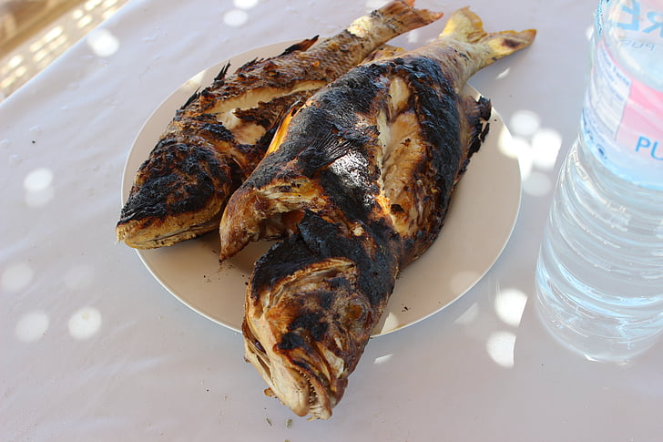 peixe grelhado, peixe, comida, grelhado, frutos do mar, delicioso, fresco