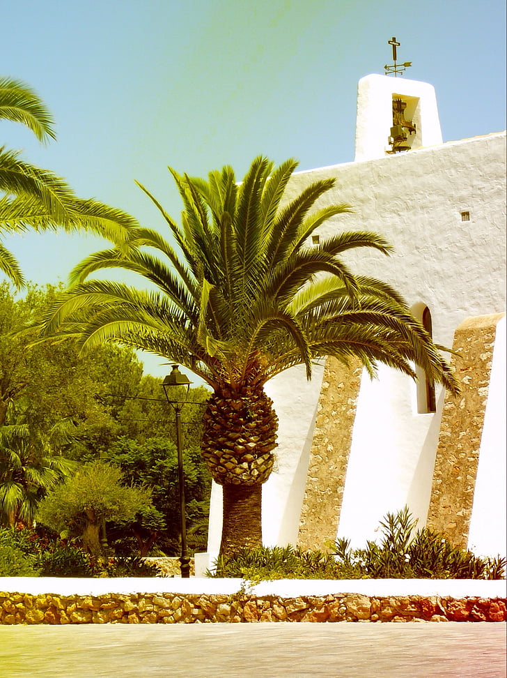Palm, Ibiza, Spanyolország, Holiday, nyári, sziget, napos