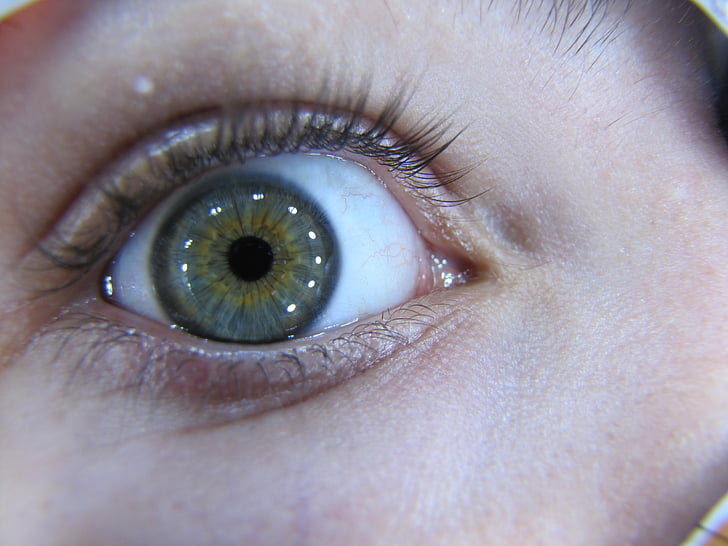 occhio, macro, iride, pupilla