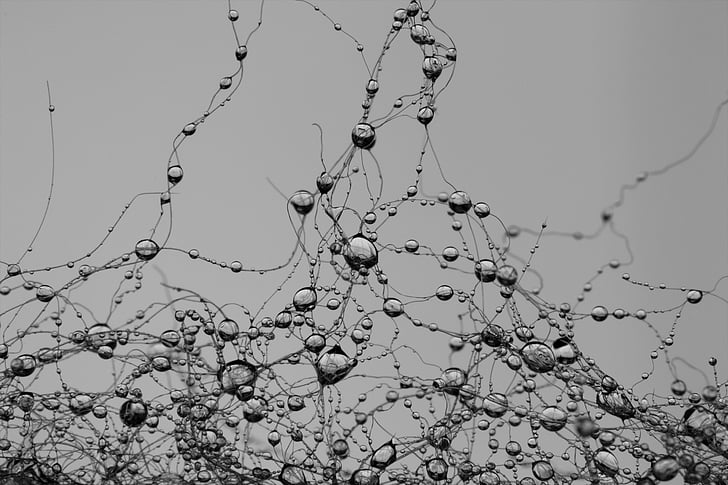 drop, network, synapse, pearl, gray, raindrop, villa
