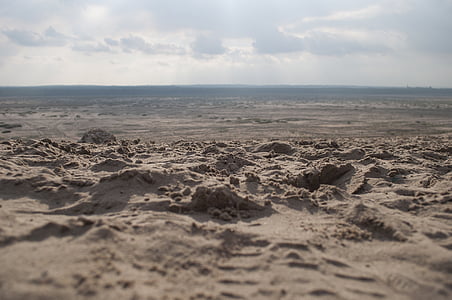 krajina, poušť, písek, pohled, na pozadí, suché, pouštní błędowska