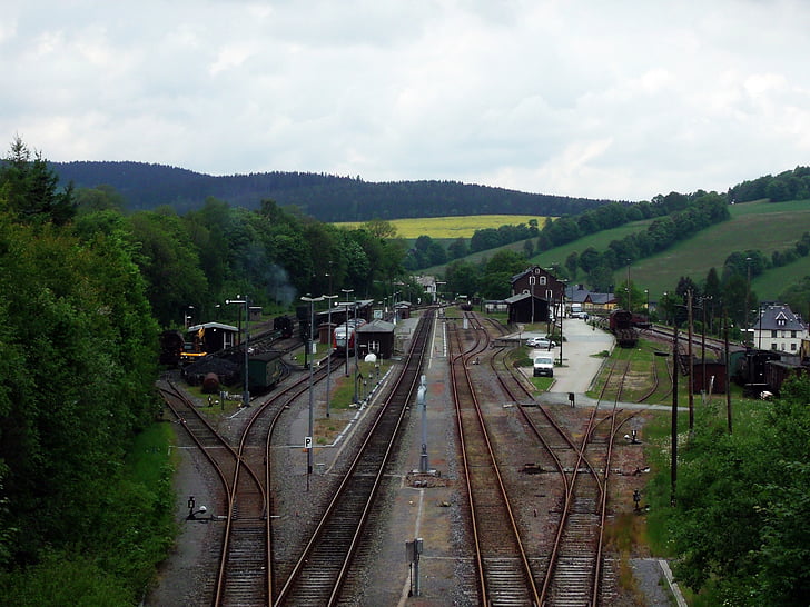 gleise, trein, kleine gauge spoorweg, stoomlocomotief