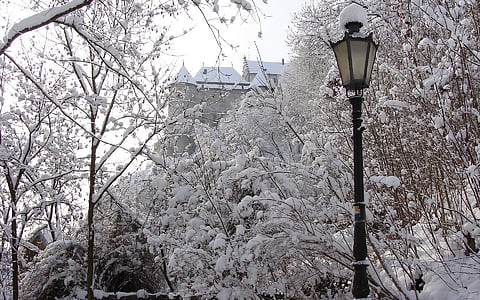 indgået lyse sten, lanterne, Heidenheim Tyskland, vinter, sne, træ, kolde - temperatur