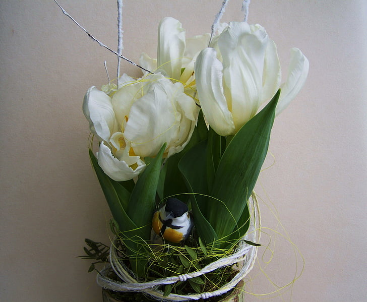 biele tulipány, Cibuľové rastliny, jarné kvety, dekorácie, Príroda, Kytica, vták
