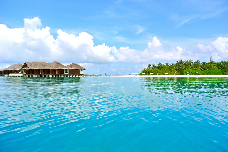 Μαλδίβες, καρύδας δέντρο, στη θάλασσα, το θέρετρο, το καλοκαίρι, Ενοικιαζόμενα, ουρανός