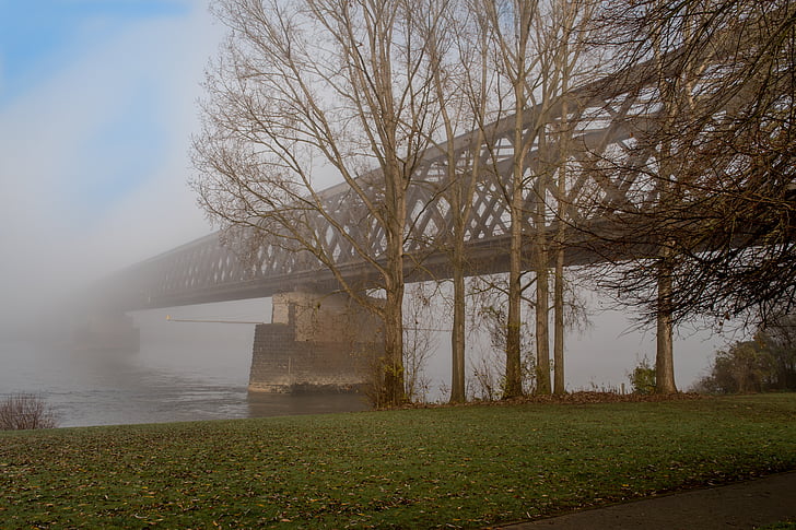 urmitz, Bridge, tåge, floden, tidligt om morgenen