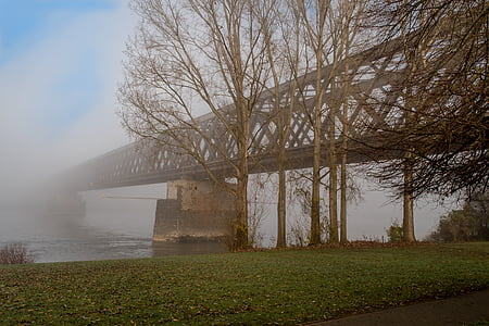 Urmitz, brug, mist, rivier, vroeg in de ochtend