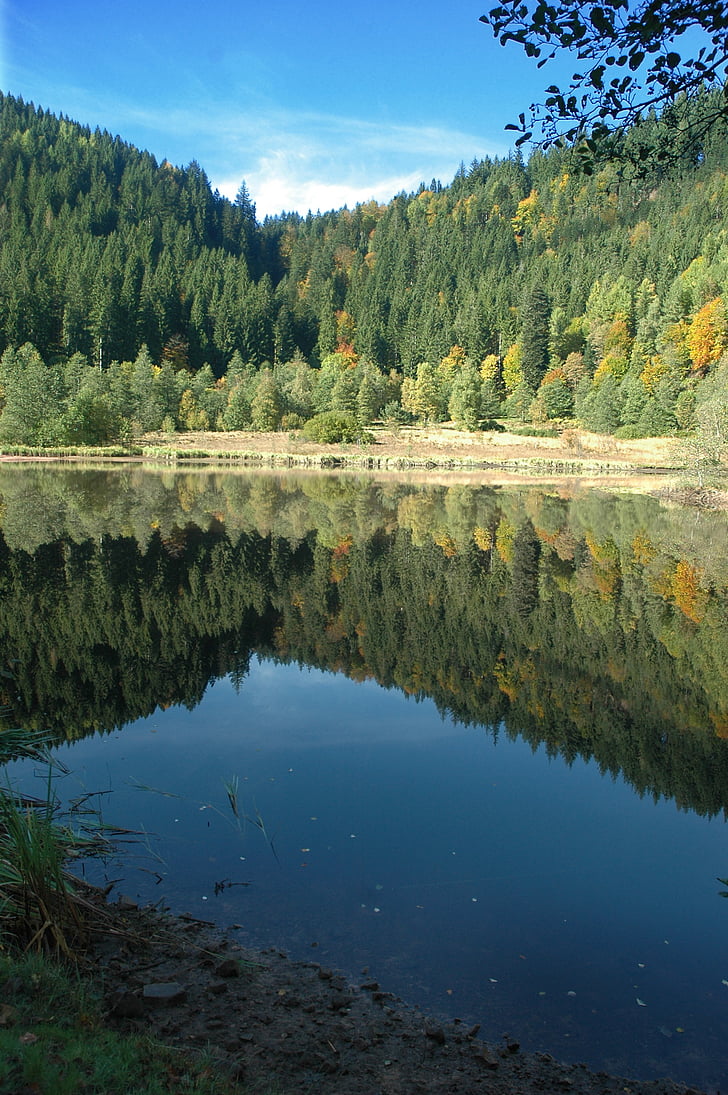 sankenbachsee, sjön, Waldsee, Baiersbronn, Schwarzwald, Carezza lake, hösten