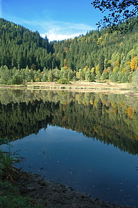 sankenbachsee, ทะเลสาบ, waldsee, baiersbronn, ป่าดำ, เล carezza, ฤดูใบไม้ร่วง