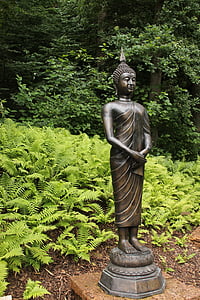 일본, 선, 정원, 부처님, 동상, 불교, 종교