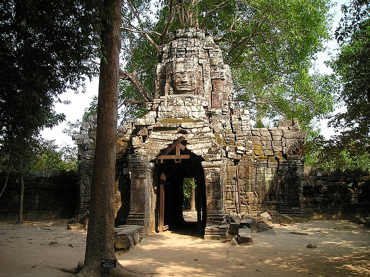 Angkor, wat, Kambodža, obrastao, džungla, hram, jugoistočne