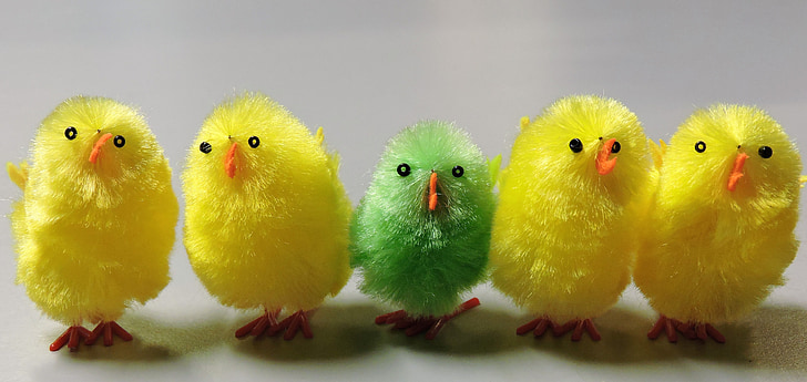 easter, chicks, cute, fluffy