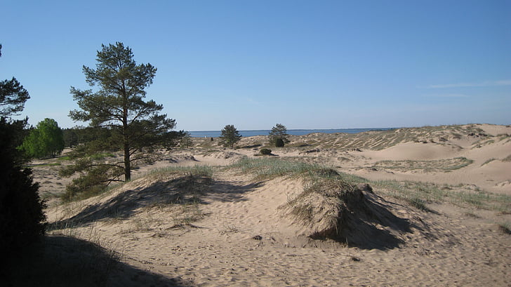 Yyteri, Björneborg, stranden, sanddynerna, Sand, våren, öken
