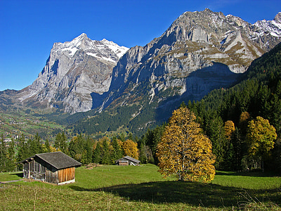 Bernese oberland, Horská krajina, podzim, zemědělská usedlost, zemědělské usedlosti, postkartenmotiv, dřevěné domy
