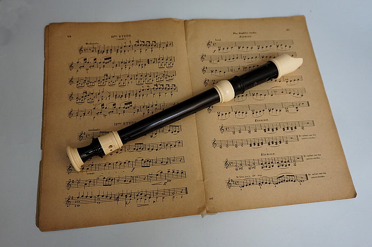 sheet music, recorder, music, musical instrument, flute, artist, instruments