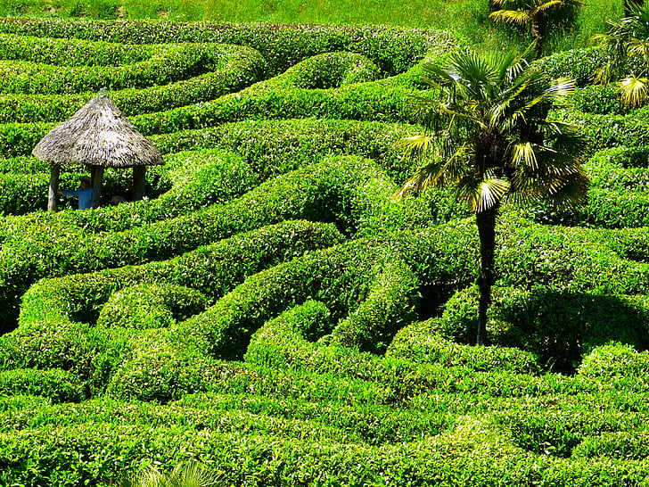 Labyrinth, Labyrinth, Glendurgan, Garten, Cornwall, Süd-Drüse, Vereinigtes Königreich