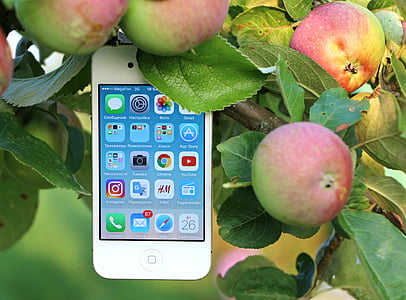 jordbruk, Apple, Apple-enheter, äppelträd, applikationer, oskärpa, cellphone