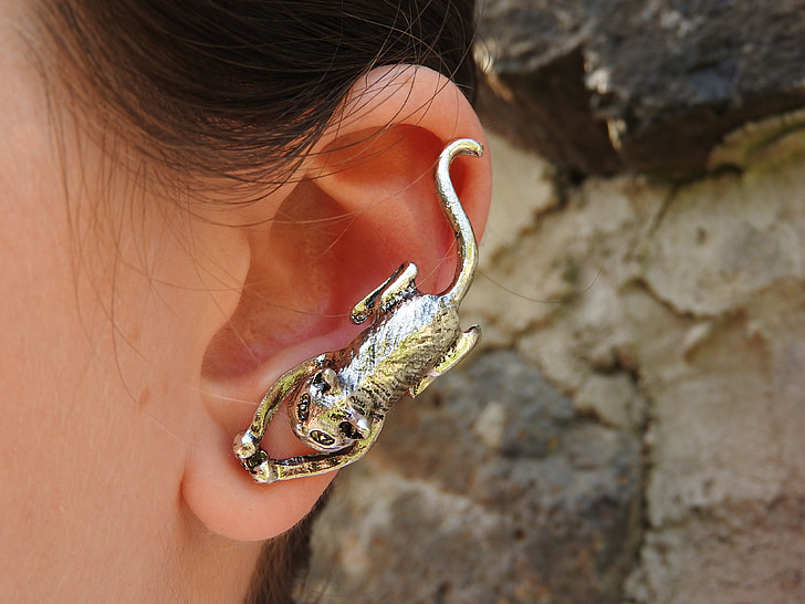 earrings, cat, silver, ear