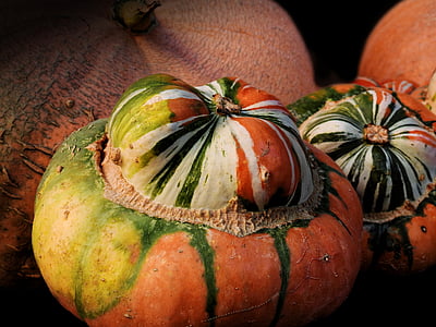 abóbora, cabaça, Outono, decoração, produtos hortícolas, colheita, Helloween