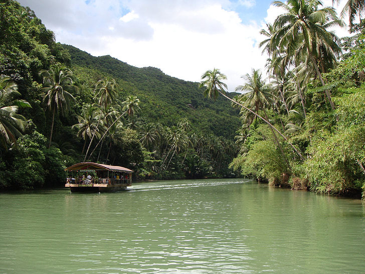 дождевой лес, Бохол, Филиппины, Река, лодка, Пальмовые деревья, Природа