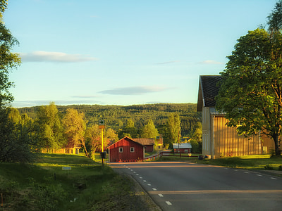 สวีเดน, ฤดูใบไม้ร่วง, ฤดูใบไม้ร่วง, ท้องฟ้า, เมฆ, ป่า, ต้นไม้