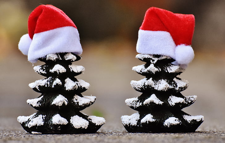 christmas, firs, trees, funny, santa hat, christmas time, snow