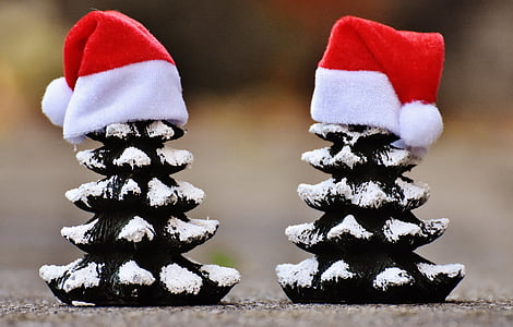 Boże Narodzenie, jodły, drzewa, śmieszne, Santa hat, czas Bożego Narodzenia, śnieg