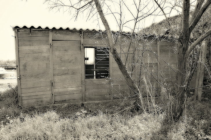 Grange, tre, gamle hus, fasade, svart-hvitt, vinduet, Frankrike