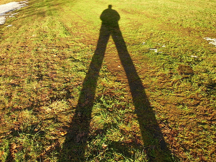 Schatten, Fotograf, Licht, Natur, im freien, Grass