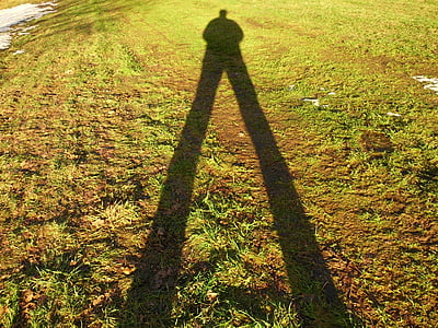 shadow, photographer, light, nature, outdoors, grass