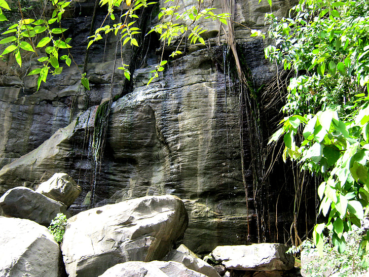Rock seina, erosiooni, loodus, maastik, džungel