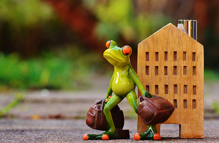 time to go, farewell, travel, frog, luggage, figure, cute