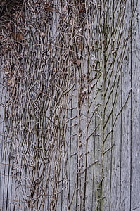 wood, branches, wall, grey, old, texture, decor