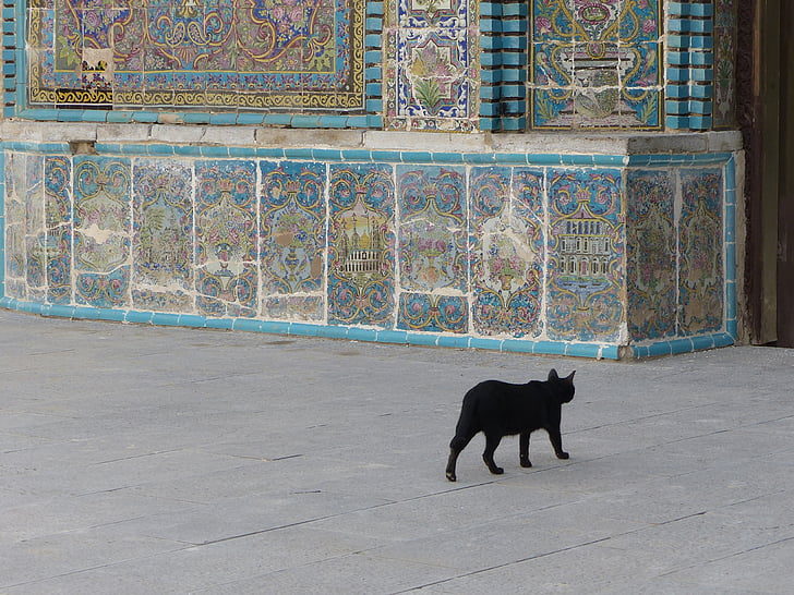 Iran, kat, zwart, tegel, keramiek, het platform