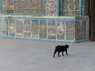 Иран, кошка, черный, Плитка, Керамические, Архитектура