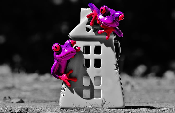 frogs, home, funny, cute, sweet, decoration, figure