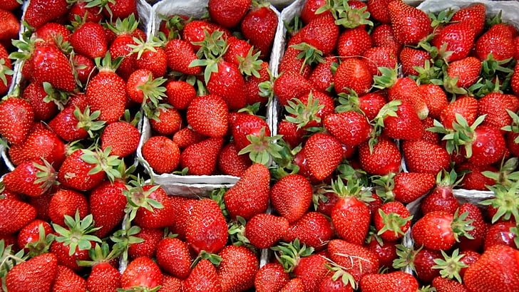 fraises, fruits, fruits, rouge, Sweet, délicieux, été